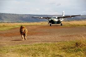 Maasai Mara Image